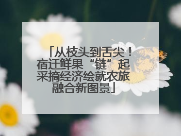 从枝头到舌尖！宿迁鲜果“链”起采摘经济绘就农旅融合新图景