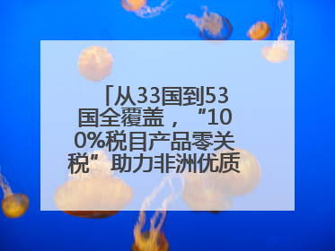从33国到53国全覆盖，“100%税目产品零关税”助力非洲优质商品入华