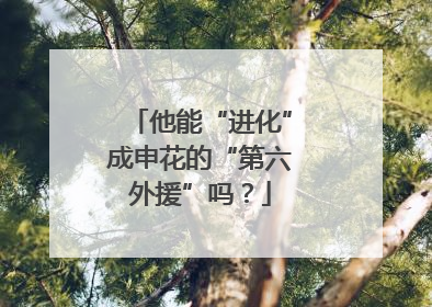 他能“进化”成申花的“第六外援”吗？
