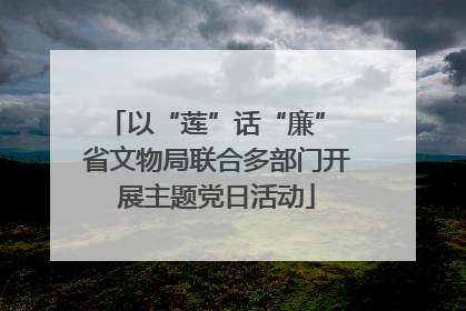 以“莲”话“廉” 省文物局联合多部门开展主题党日活动