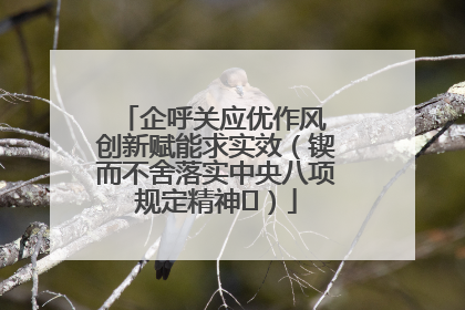企呼关应优作风 创新赋能求实效（锲而不舍落实中央八项规定精神⑭）