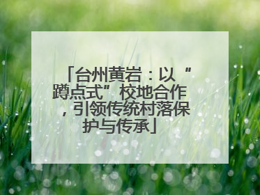 台州黄岩：以“蹲点式”校地合作，引领传统村落保护与传承