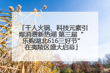 千人火锅、科技元素引爆消费新热潮 第三届“乐购湖北616三好节”在夷陵区盛大启幕