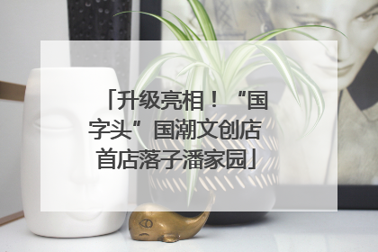 升级亮相！“国字头”国潮文创店首店落子潘家园