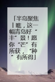 半岛聚焦丨瞧，这一幅青岛好“丰”景！愿你“芒”有所获，“种”有所得