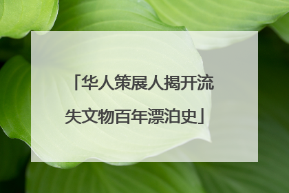 华人策展人揭开流失文物百年漂泊史