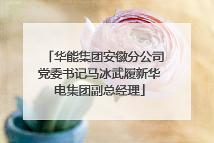 华能集团安徽分公司党委书记马冰武履新华电集团副总经理