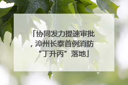协同发力提速审批，漳州长泰首例消防“丁升丙”落地