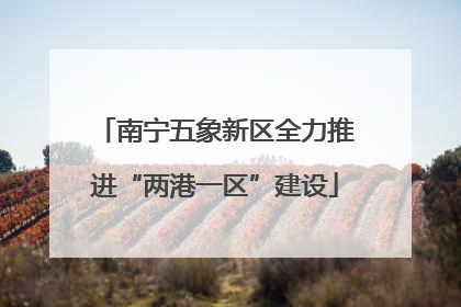 南宁五象新区全力推进“两港一区”建设