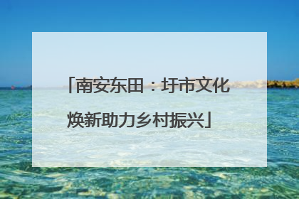 南安东田：圩市文化焕新助力乡村振兴