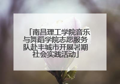 南昌理工学院音乐与舞蹈学院志愿服务队赴丰城市开展暑期社会实践活动