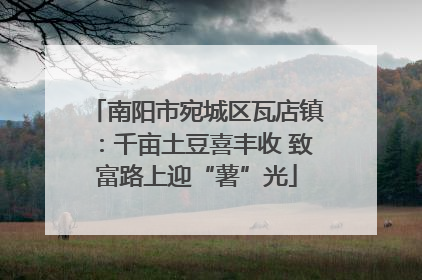 南阳市宛城区瓦店镇：千亩土豆喜丰收 致富路上迎“薯”光