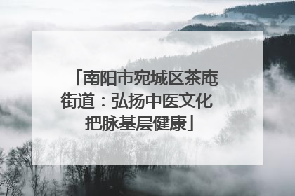 南阳市宛城区茶庵街道：弘扬中医文化 把脉基层健康