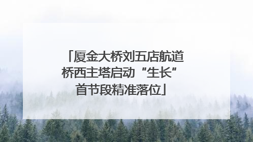 厦金大桥刘五店航道桥西主塔启动“生长” 首节段精准落位