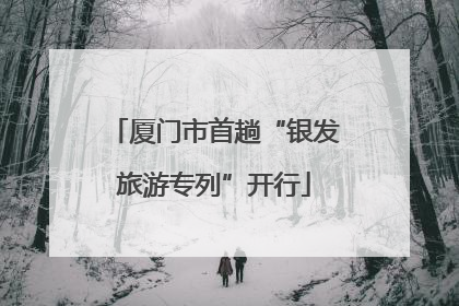 厦门市首趟“银发旅游专列”开行