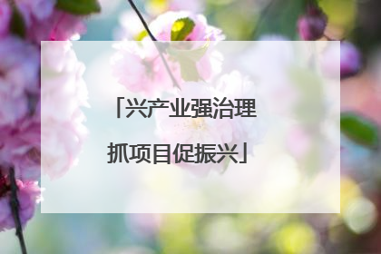 兴产业强治理 抓项目促振兴