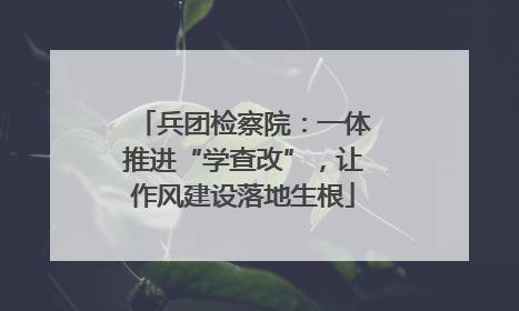 兵团检察院：一体推进“学查改”，让作风建设落地生根