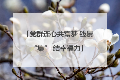 党群连心共富梦 钱景 “集” 结幸福力