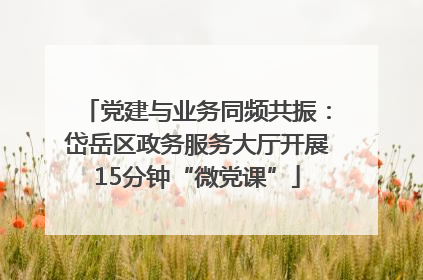 党建与业务同频共振：岱岳区政务服务大厅开展15分钟“微党课”