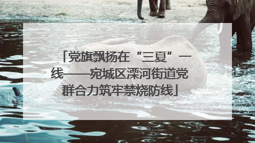 党旗飘扬在“三夏”一线——宛城区溧河街道党群合力筑牢禁烧防线