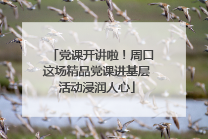 党课开讲啦！周口这场精品党课进基层活动浸润人心