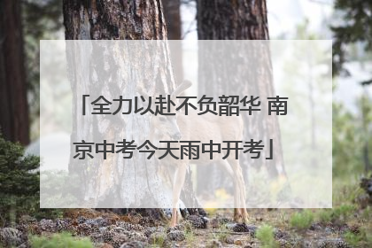 全力以赴不负韶华 南京中考今天雨中开考