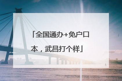 全国通办+免户口本，武昌打个样