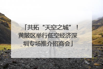 共拓“天空之城”！黄陂区举行低空经济深圳专场推介招商会