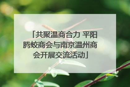共聚温商合力 平阳腾蛟商会与南京温州商会开展交流活动