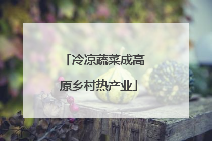 冷凉蔬菜成高原乡村热产业