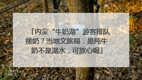 内蒙“牛奶湖”游客排队接奶？当地文旅局：是纯牛奶不是湖水，可放心喝