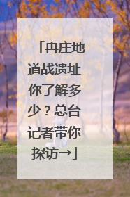 冉庄地道战遗址你了解多少？总台记者带你探访→