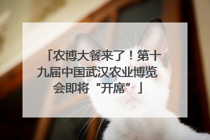 农博大餐来了！第十九届中国武汉农业博览会即将“开席”