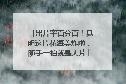出片率百分百！昆明这片花海美炸啦，随手一拍就是大片