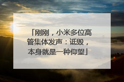 刚刚，小米多位高管集体发声：诋毁，本身就是一种仰望