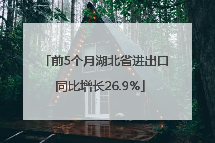 前5个月湖北省进出口同比增长26.9%