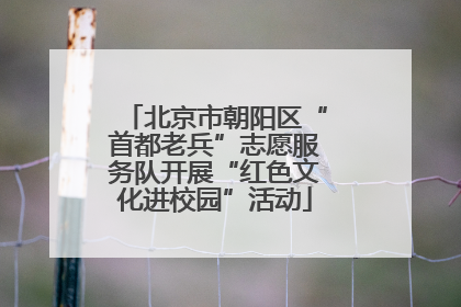 北京市朝阳区“首都老兵”志愿服务队开展“红色文化进校园”活动