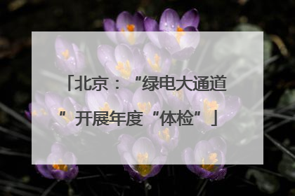 北京：“绿电大通道”开展年度“体检”