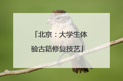 北京：大学生体验古籍修复技艺