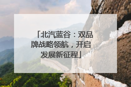 北汽蓝谷：双品牌战略领航，开启发展新征程