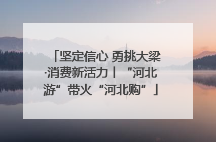 坚定信心 勇挑大梁·消费新活力丨“河北游”带火“河北购”