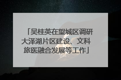 吴桂英在望城区调研大泽湖片区建设、文科旅医融合发展等工作