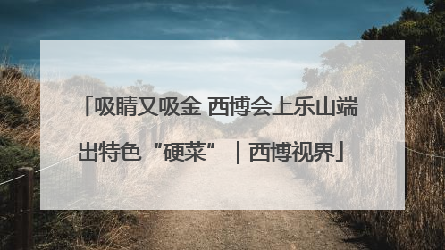 吸睛又吸金 西博会上乐山端出特色“硬菜”｜西博视界