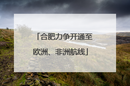 合肥力争开通至欧洲、非洲航线