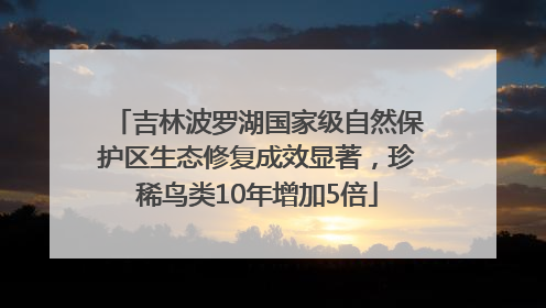 吉林波罗湖国家级自然保护区生态修复成效显著，珍稀鸟类10年增加5倍