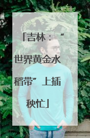 吉林：“世界黄金水稻带”上插秧忙