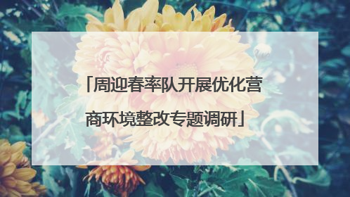 周迎春率队开展优化营商环境整改专题调研