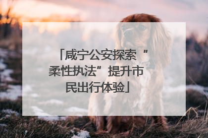 咸宁公安探索“柔性执法”提升市民出行体验