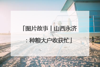 图片故事丨山西永济：种粮大户收获忙