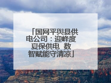 国网平舆县供电公司：迎峰度夏保供电  数智赋能守清凉